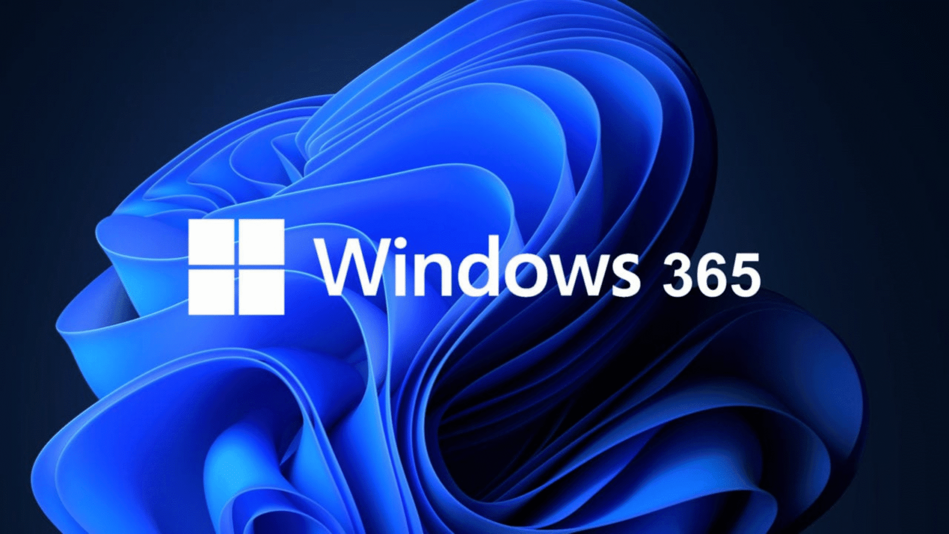 Windows 365 blog article